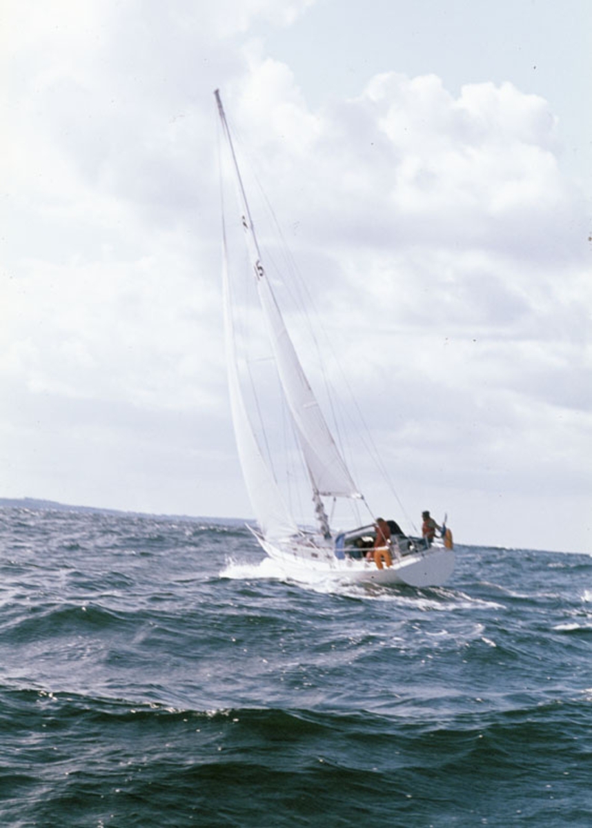 Norlin 34