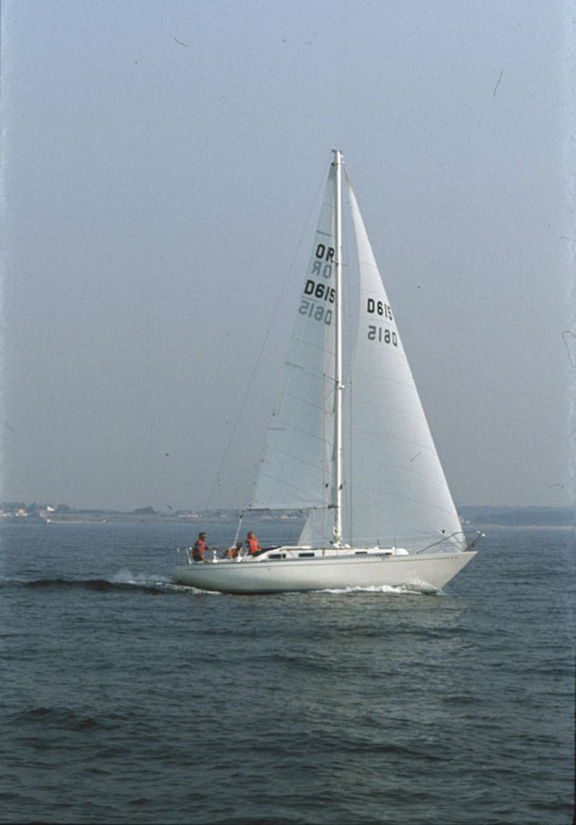 Norlin 34