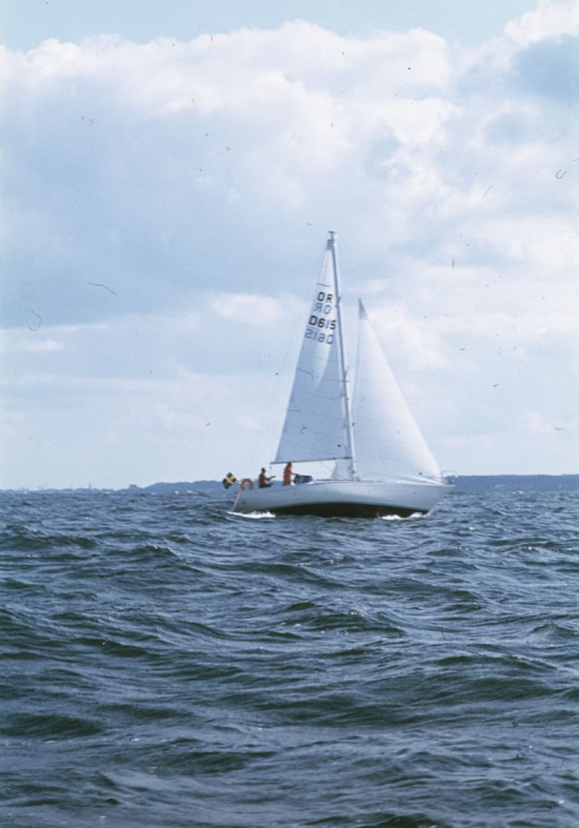 Norlin 34