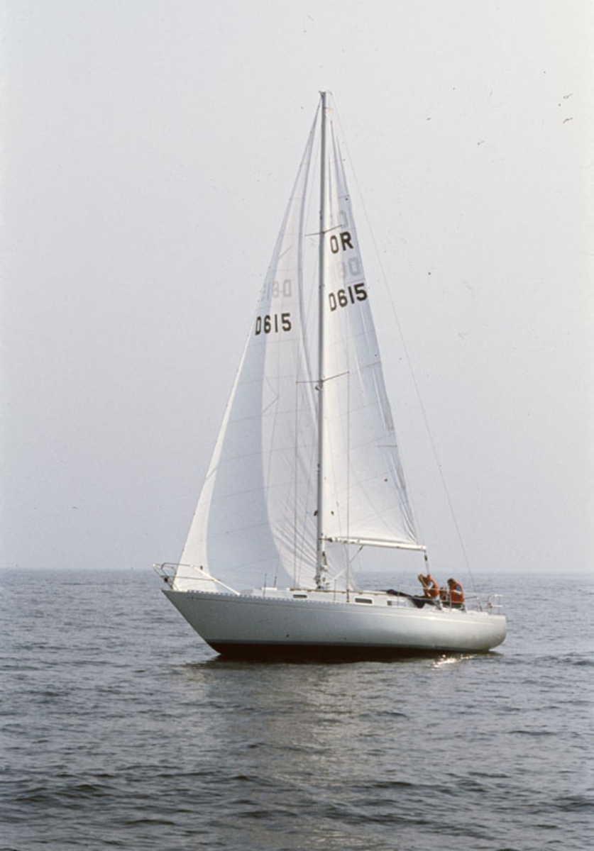 Norlin 34