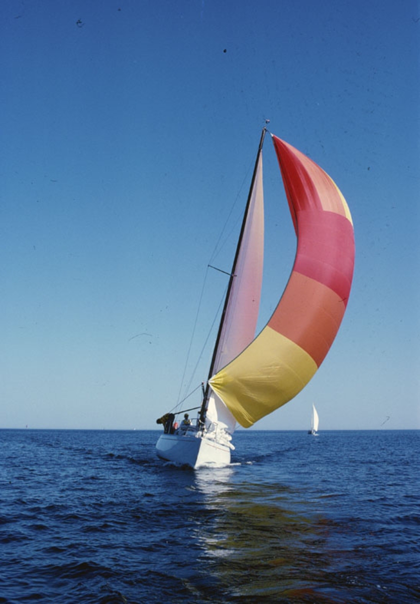 Albin Nova