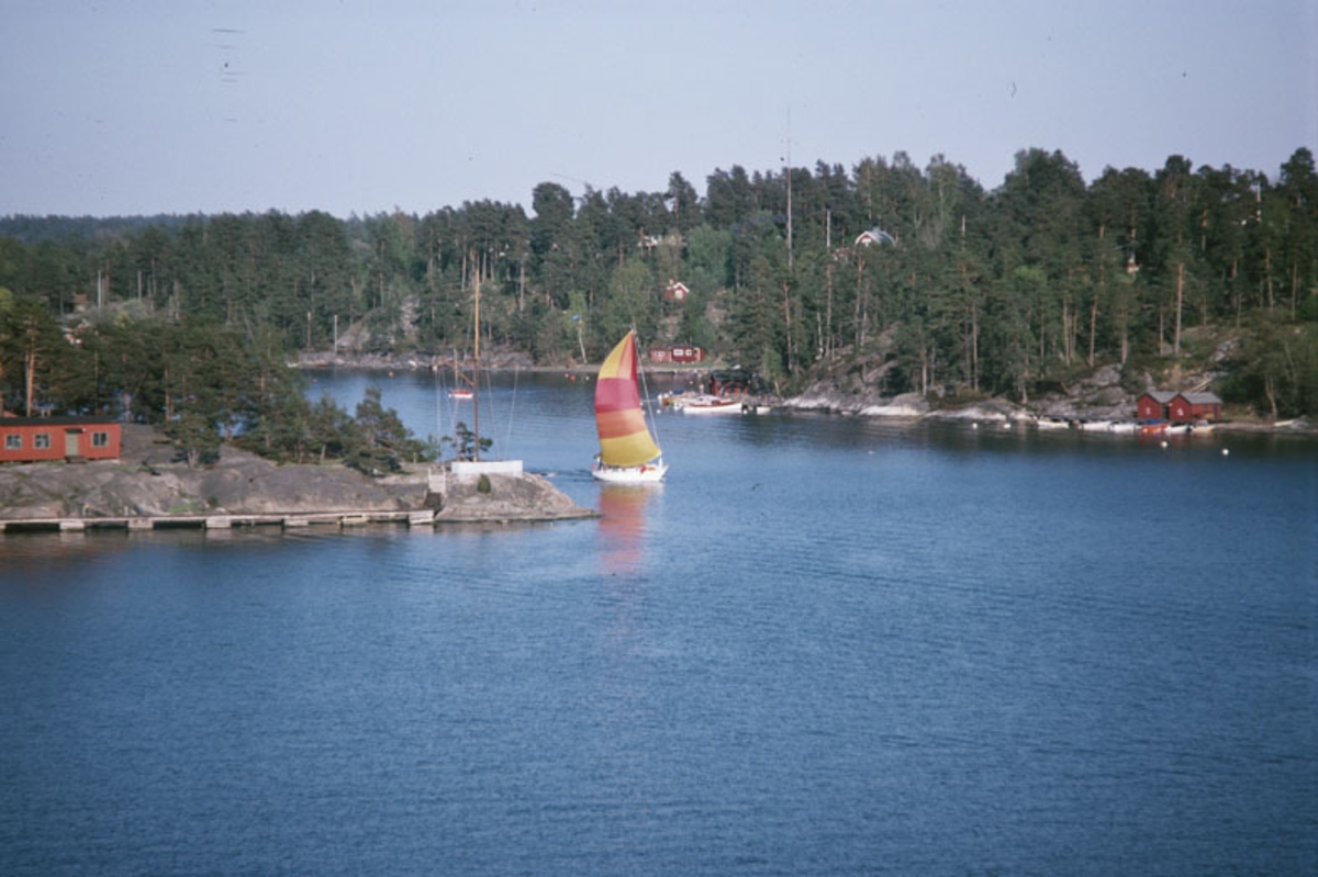 Albin Nova
