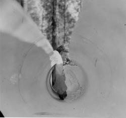 Äspingens insidor hyvlas med skavhyvel. Gåva av Institutet f