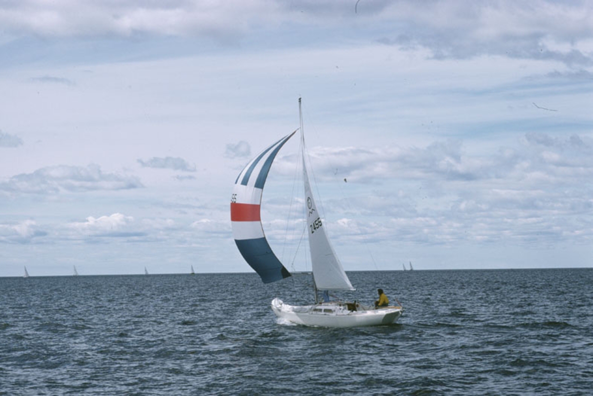 IF-båt med hissad spinnaker.