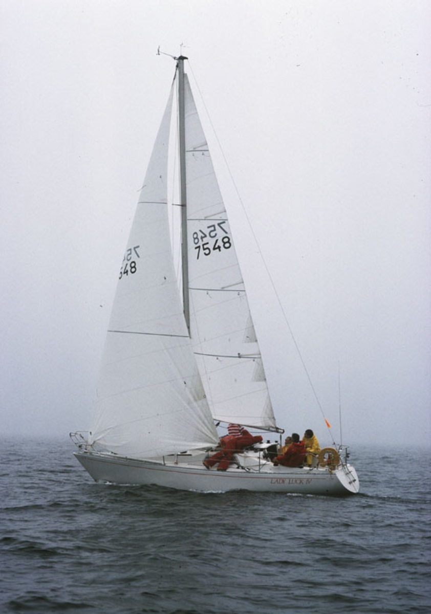 Scampi 30