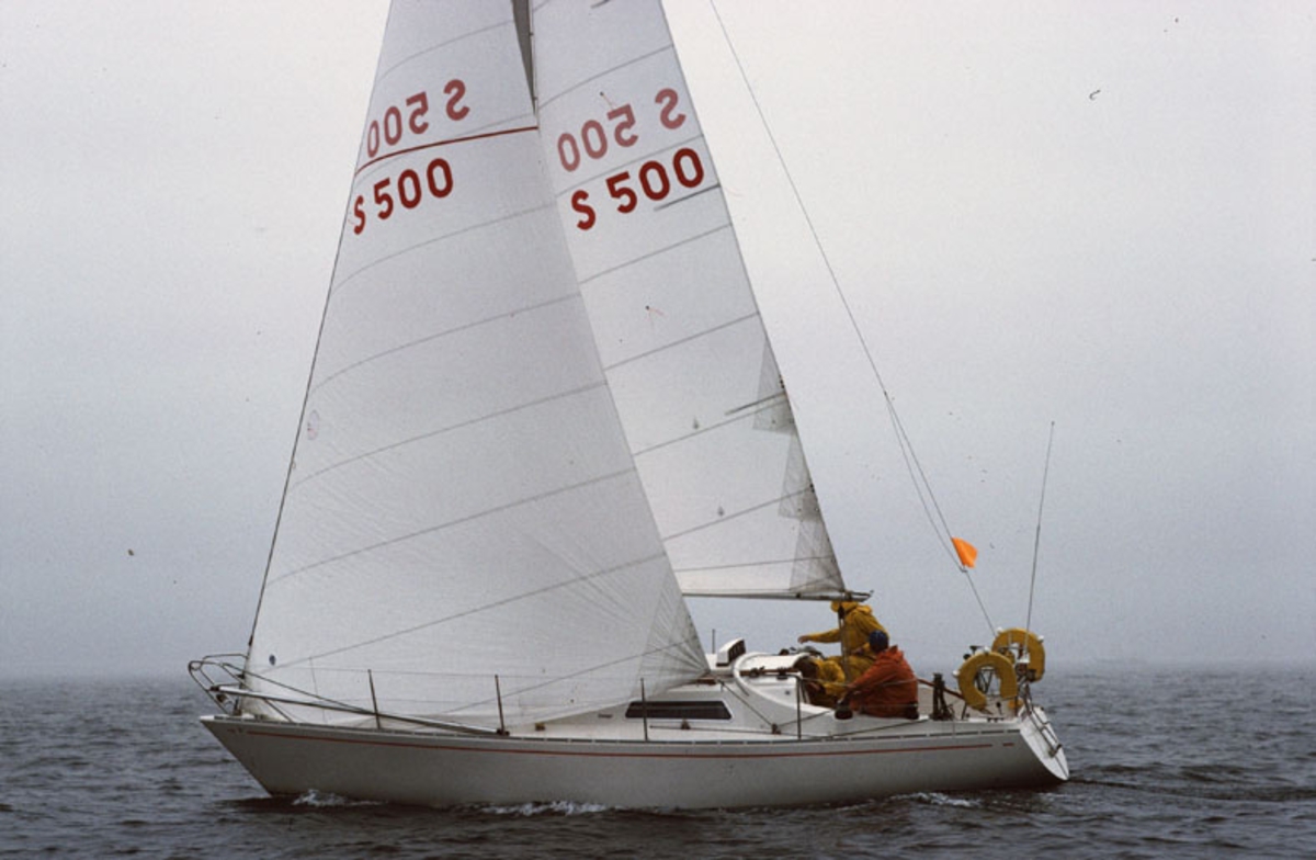 Scampi 30