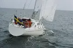 Scampi 30