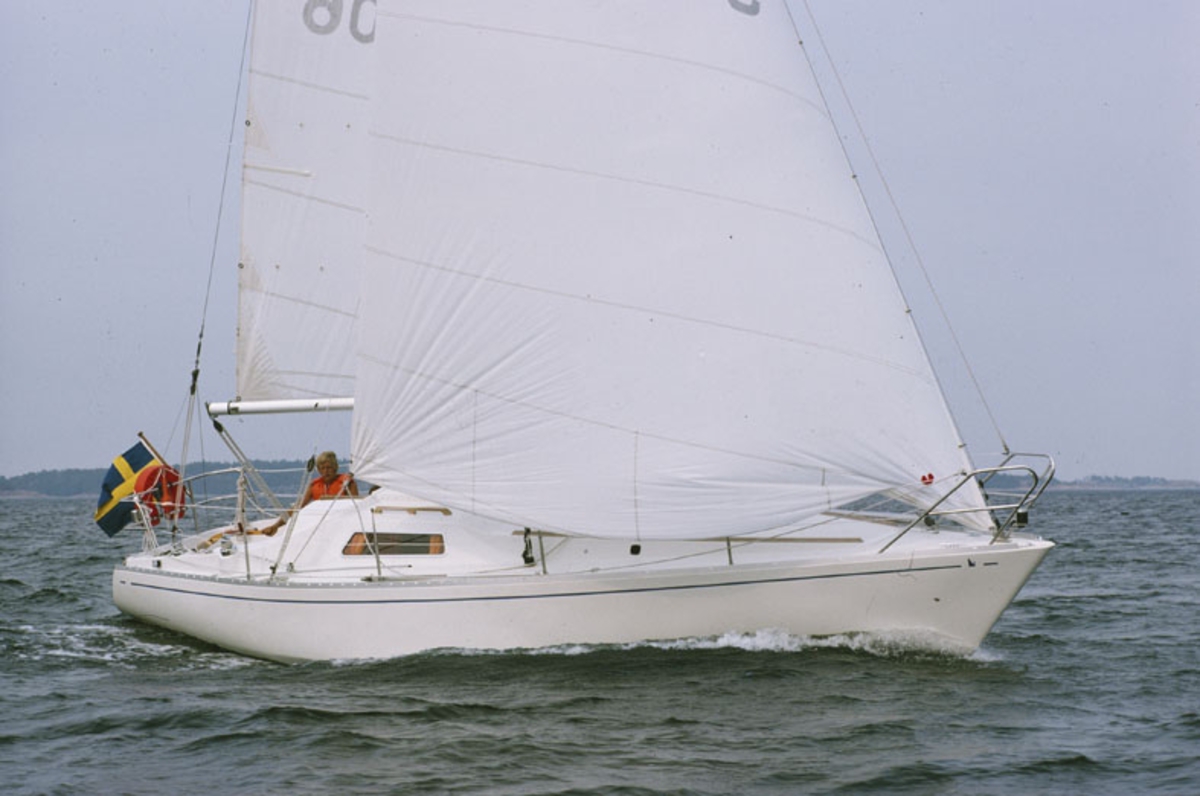 Scampi 30