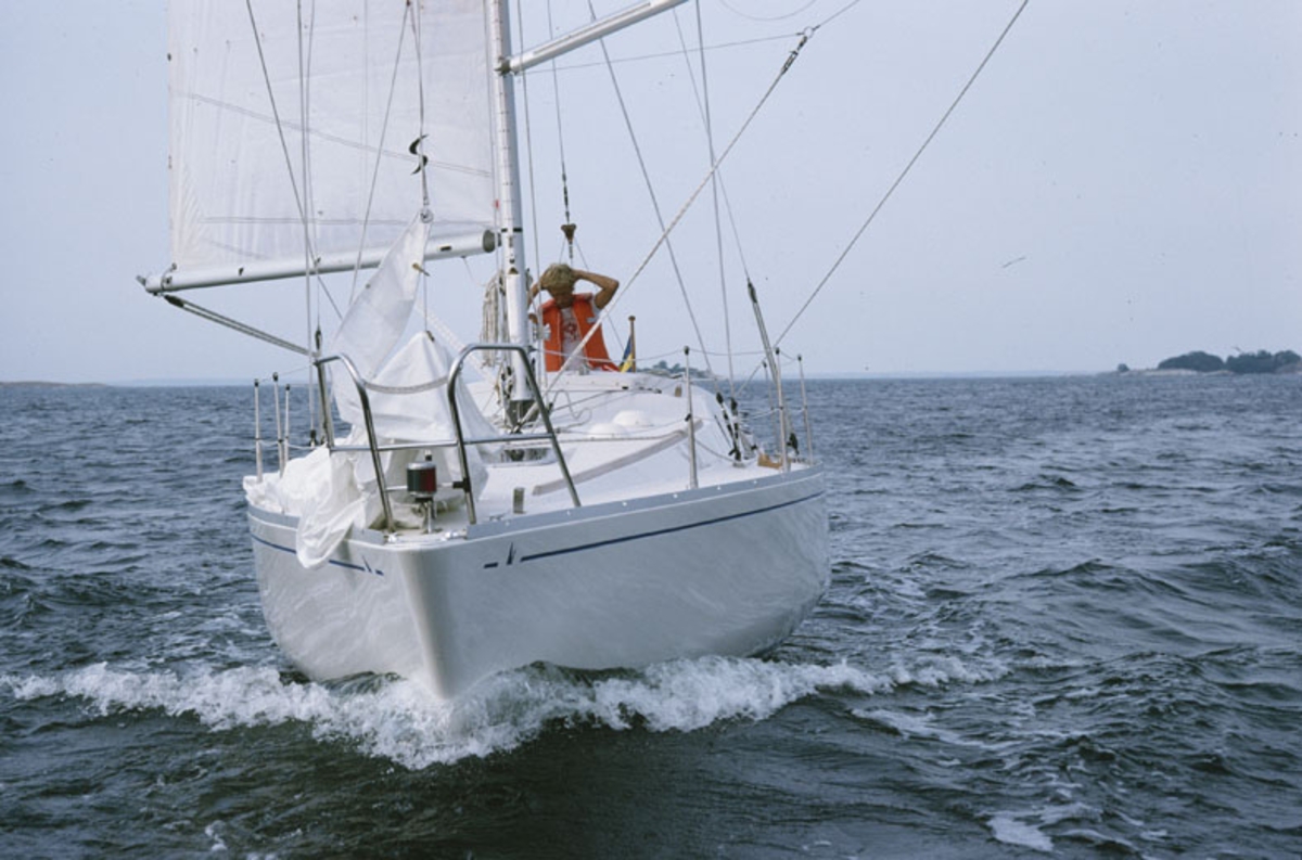 Scampi 30