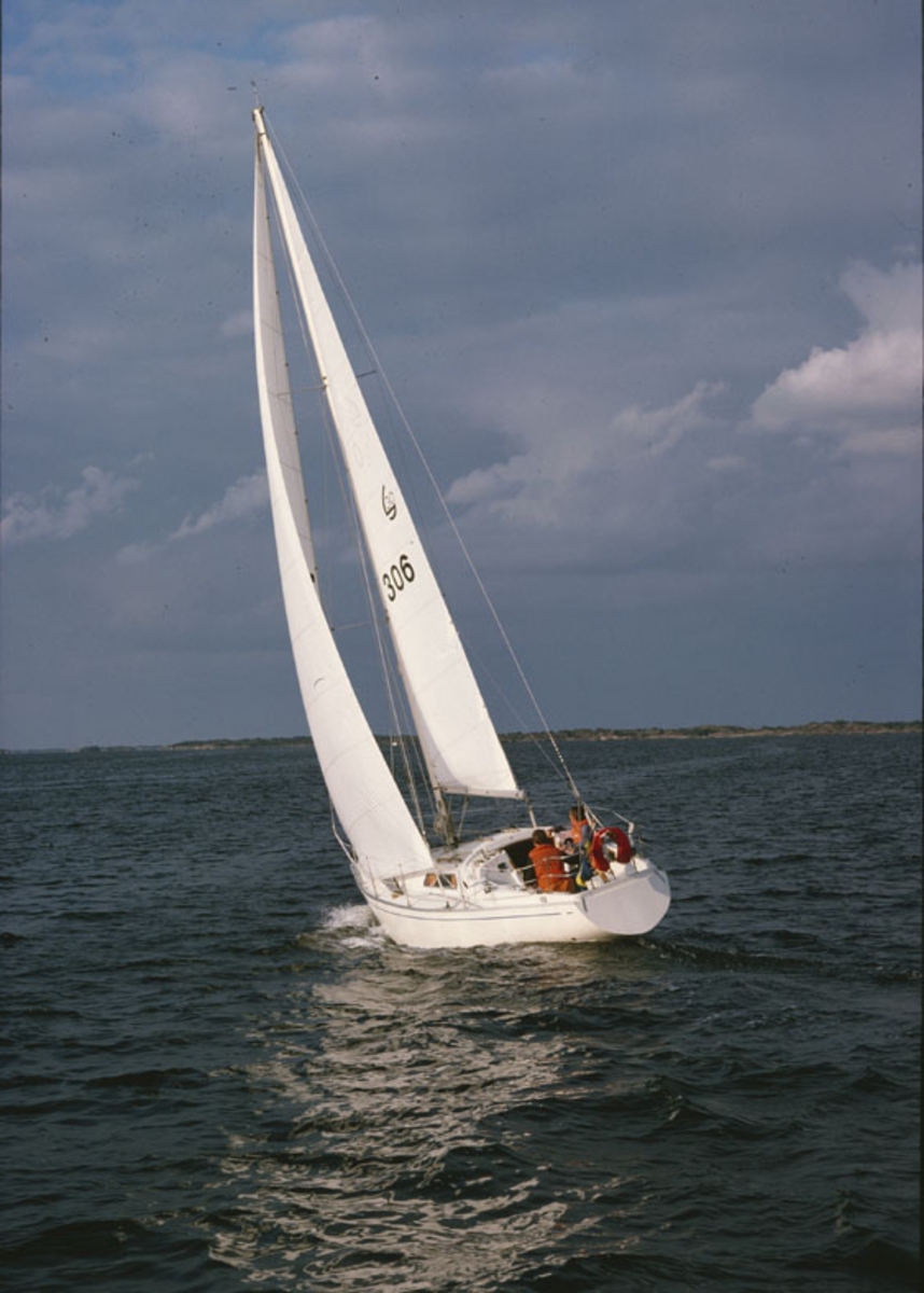 Scampi 30