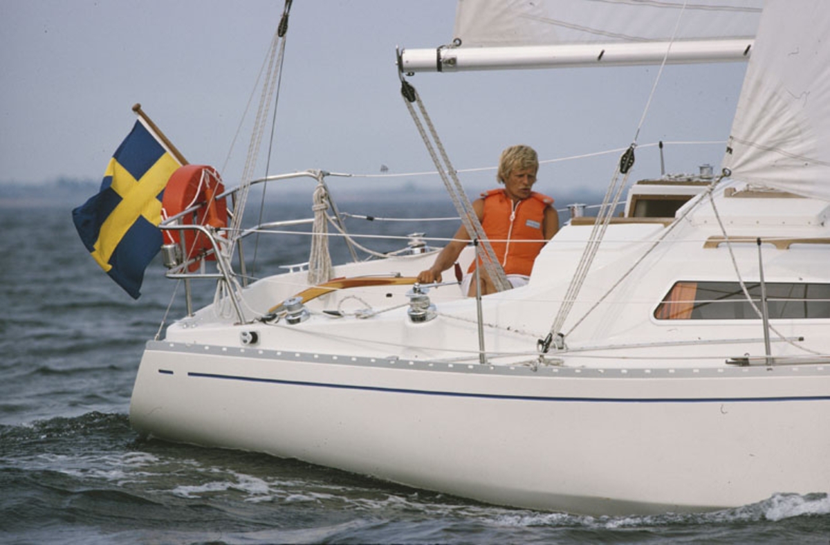 Scampi 30