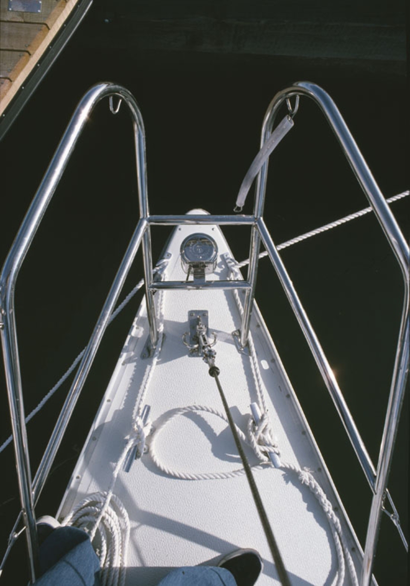 Scampi 30