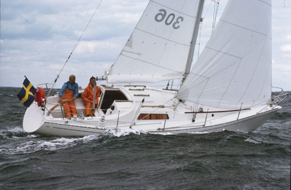 Scampi 30