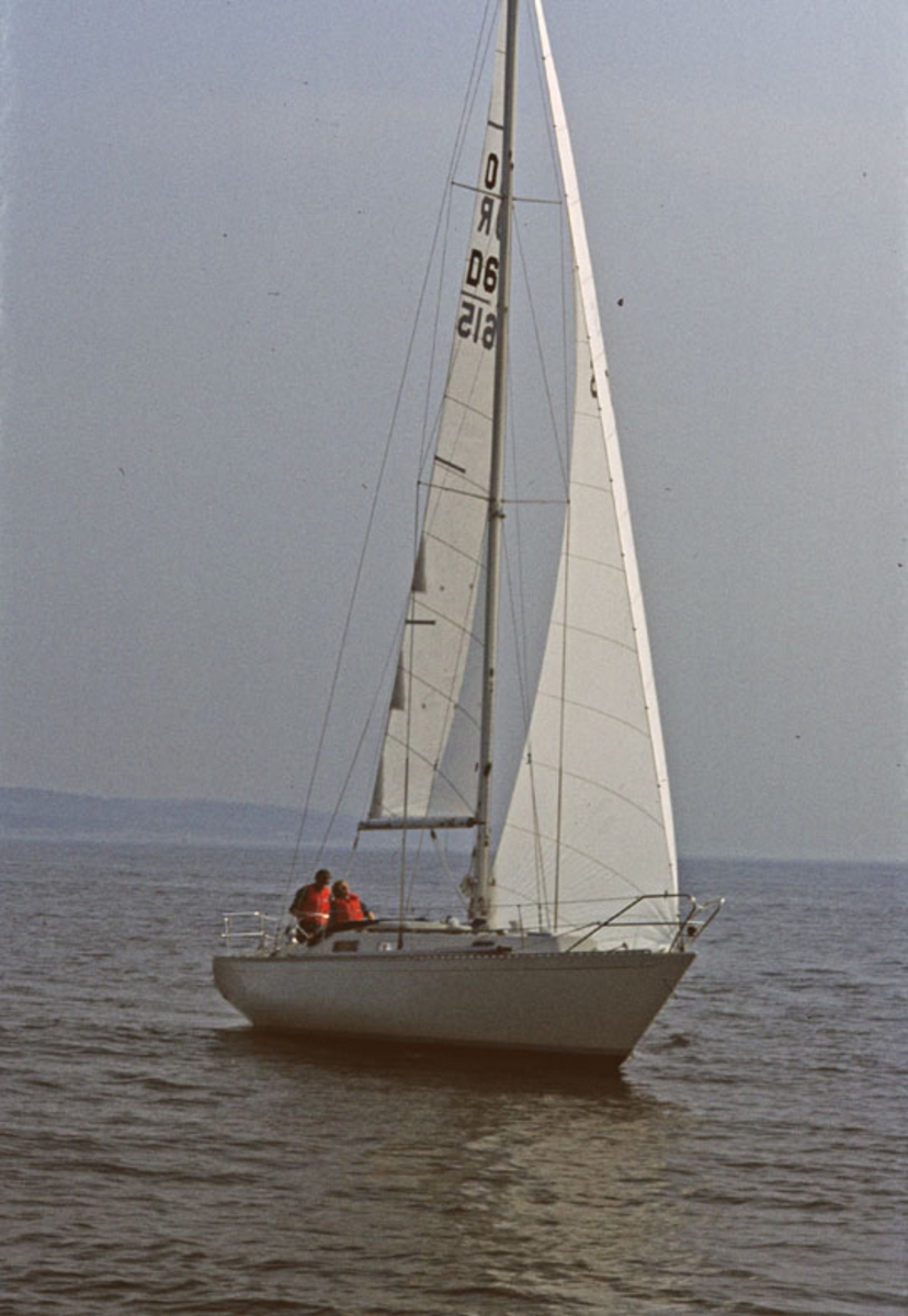 Norlin 34