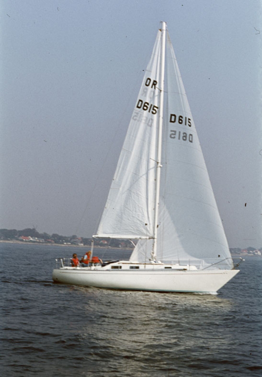 Norlin 34