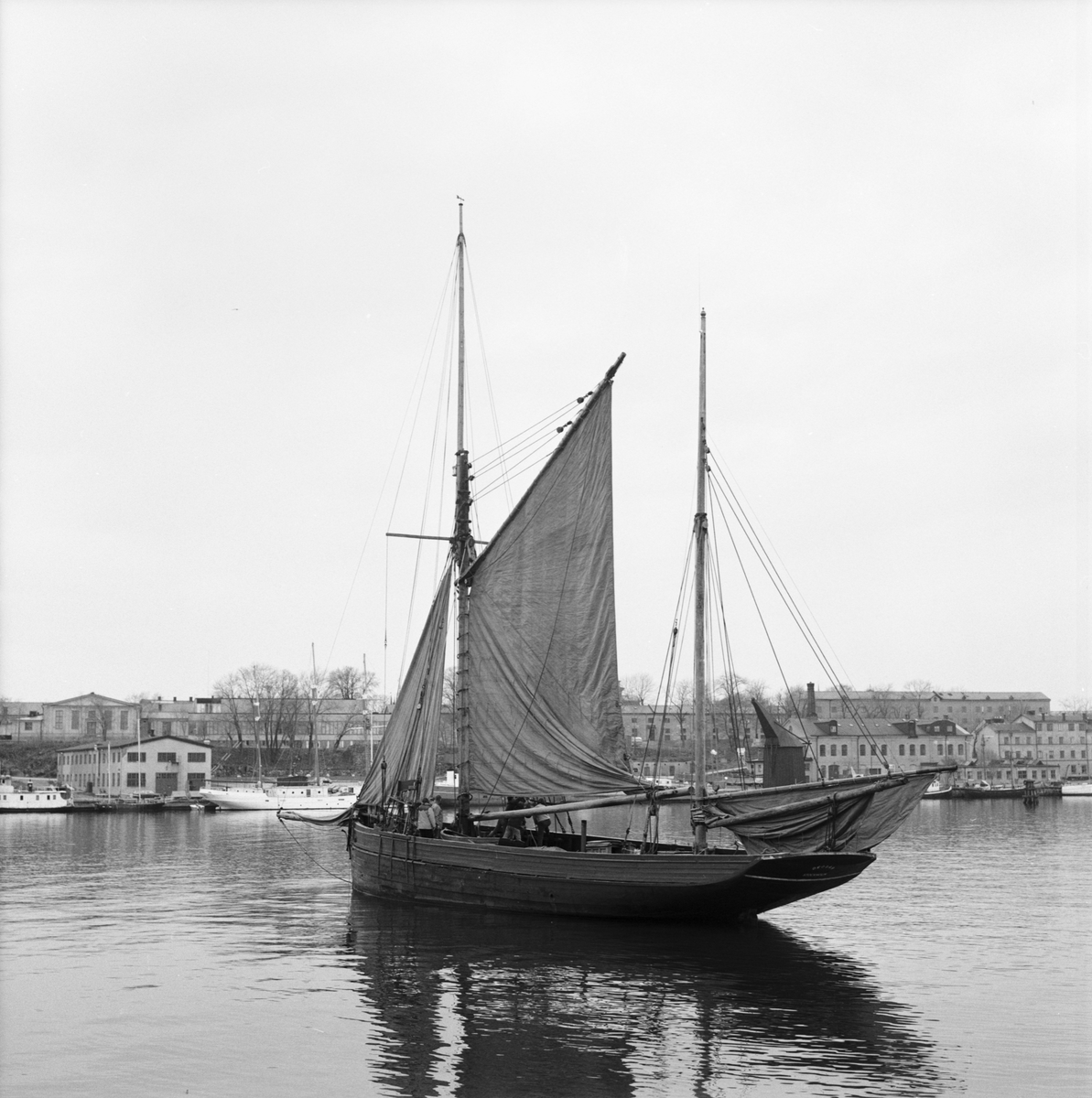 Foto