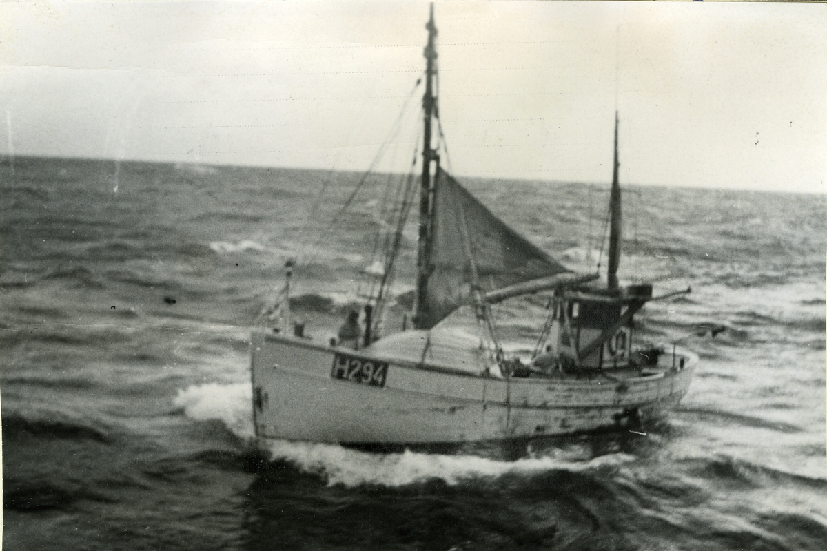 Tre Kronor räddar 13 från dansk båt. Bilden visar den danska fiskekuttern Jan Mayern som låg strax intill det havererade fartyget men kunde ej bärga något av lasten då den hårda slagsidan omöjliggjorde bärgningen och ångaren lämnades åt sitt öde.