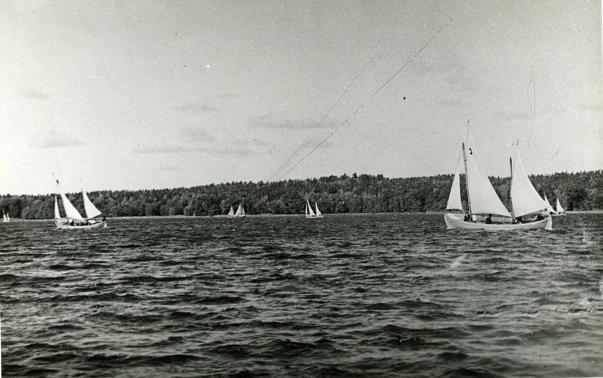 Segling.