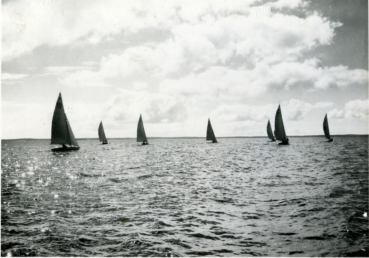 Segling