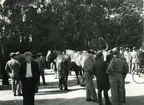 Förstärkt försvarsberedskap i september 1939, Karlskrona. Från  uttagningen av hästmaterial på läroverkets gård.