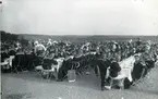 Danska och svenska örlogsmatroser på Solliden, Skansen, 2 juli 1922.