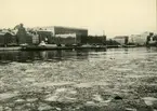 En del av Skeppsbron med Kungl. Slottet, längst bort i bakgrunden ser man en del av Gustav Adolfs torg, och Kungl. Operan.