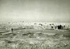 Isen utanför Visby i februari 1940. Folkvandring ut till de fastfrusna ångarna.