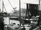 Fiskehamnen omkr. 1930.