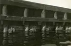 Detaljer av kajen före ombyggnaden 1933.