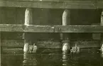 Detaljer av kajen före ombyggnaden 1933.
