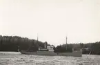 S/S INGEBORG i Tenösund 1932.