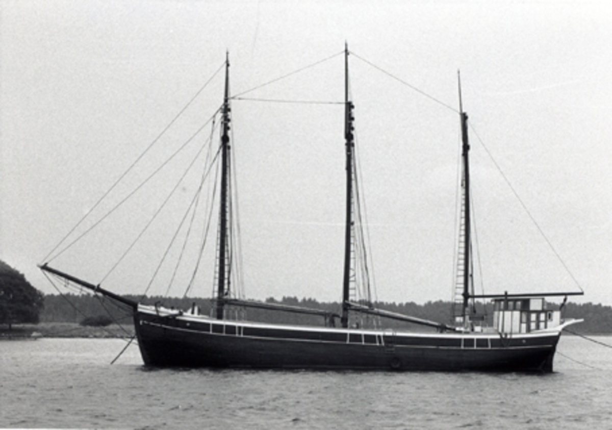 Fo202308