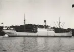 Ångfartyget SKIRNER. Foto: C.G. Jackson den 2 september 1928. Ångfartyget SKIRNER på utgående från Stockholm passerar genom Tenösund.