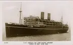 S.17593. P & O Companys New Turbo-electric Steamship 