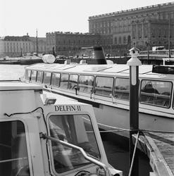 Stockholm längs vattenlinjen
Fotodatum 20020403
Stockholmsre