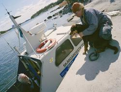 Martina Högberg
Ekobonde på Finnhamn
Fotodatum 20030507
 Hun