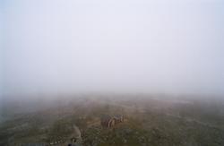 Fyren på Holmögadd
Fotodatum 20030521