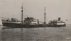 Tankmotorfartyget ANTONIA av Haag.