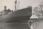 Sveabolagets RANE på grund vid Gullholmen utanför Dyvik i Sthlms skärgård i april 1953.