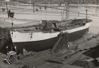 M/S REGULUS, stapelavlöpning 1936. Trelleborgs Ångf. Nya AB Trälleborg.