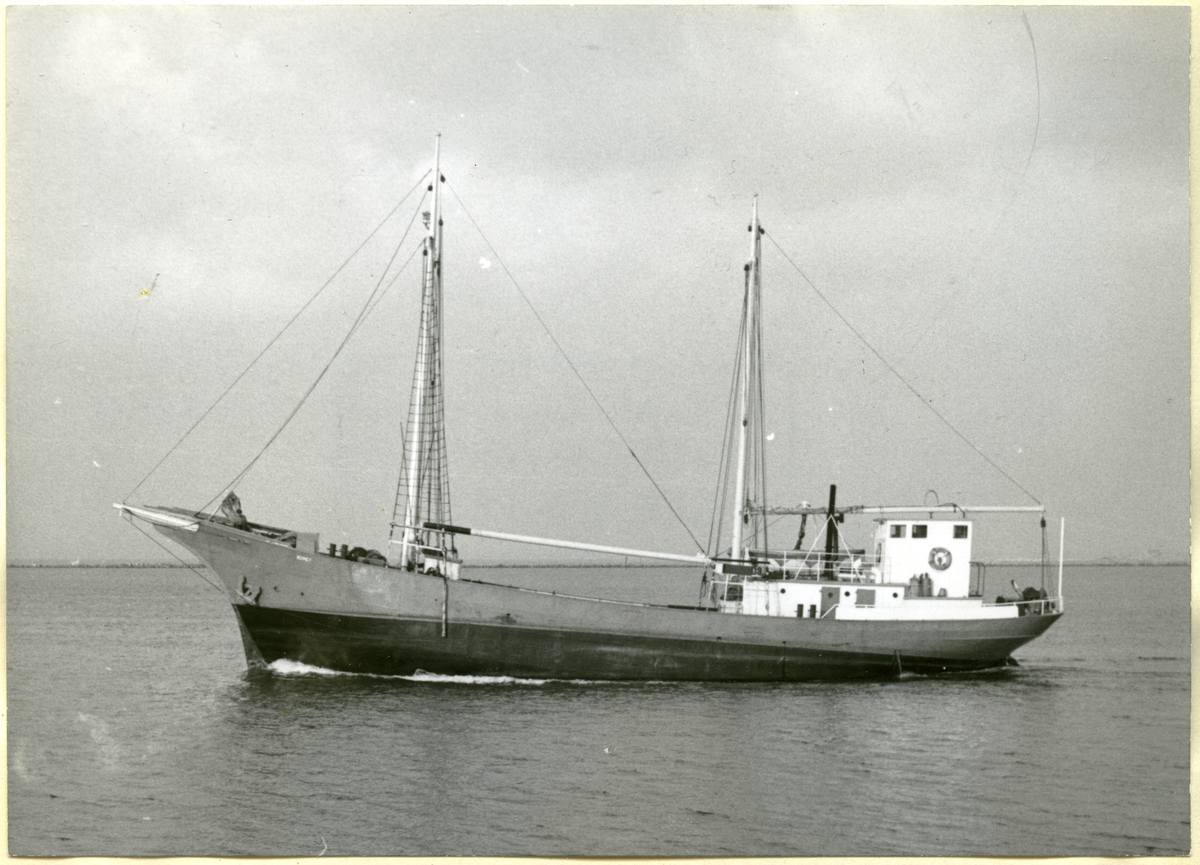 Fo207779