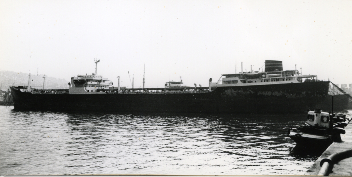 Ägare:/1966-76/: Albis Ardua S.p.A. di Navigazione. Hemort: Palermo.