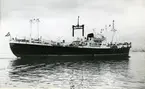 Ägare:/1961-74/: CompaÃ±ia Transatlantica EspaÃ±ola S.A. Hemort: Barcelona.