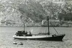 Ägare:/1932-69/: Naviera Mallorquina S.A. Hemort: Palma de Mallorca.