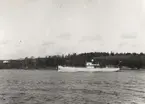 S/S PITEÅ den 13.4.1933.