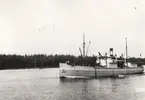 Ångfartyget PITEÅ. Foto taget den 1.8.1927.
