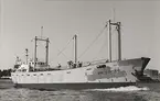 M/S GRETE DETERS. Fotot taget i juni månad 1967.