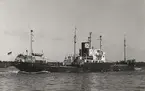 M/S HARALD OTTENS. Foto taget i juni månad 1967.
