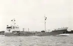 Tankmotorfartyget SINBAD. Foto taget i juni månad 1967.