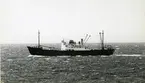 Ägare:/1951-71/: Dampschiffahrts Ges. Neptun A.G. Hemort: Bremen.